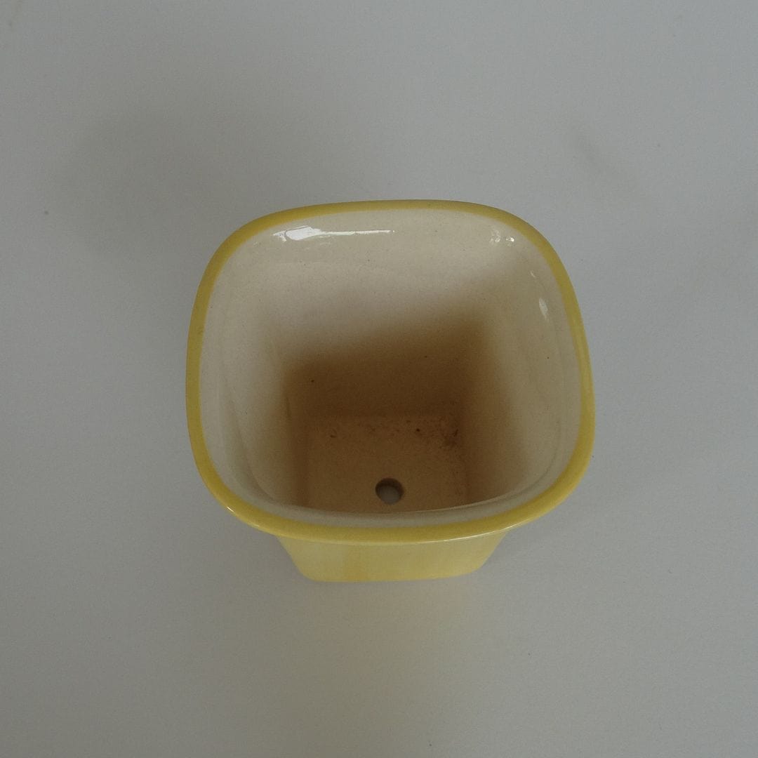 YELLOWTABLE Succulent Ceramic Flower Pot, Yellow, Dia: 2.5 Inch