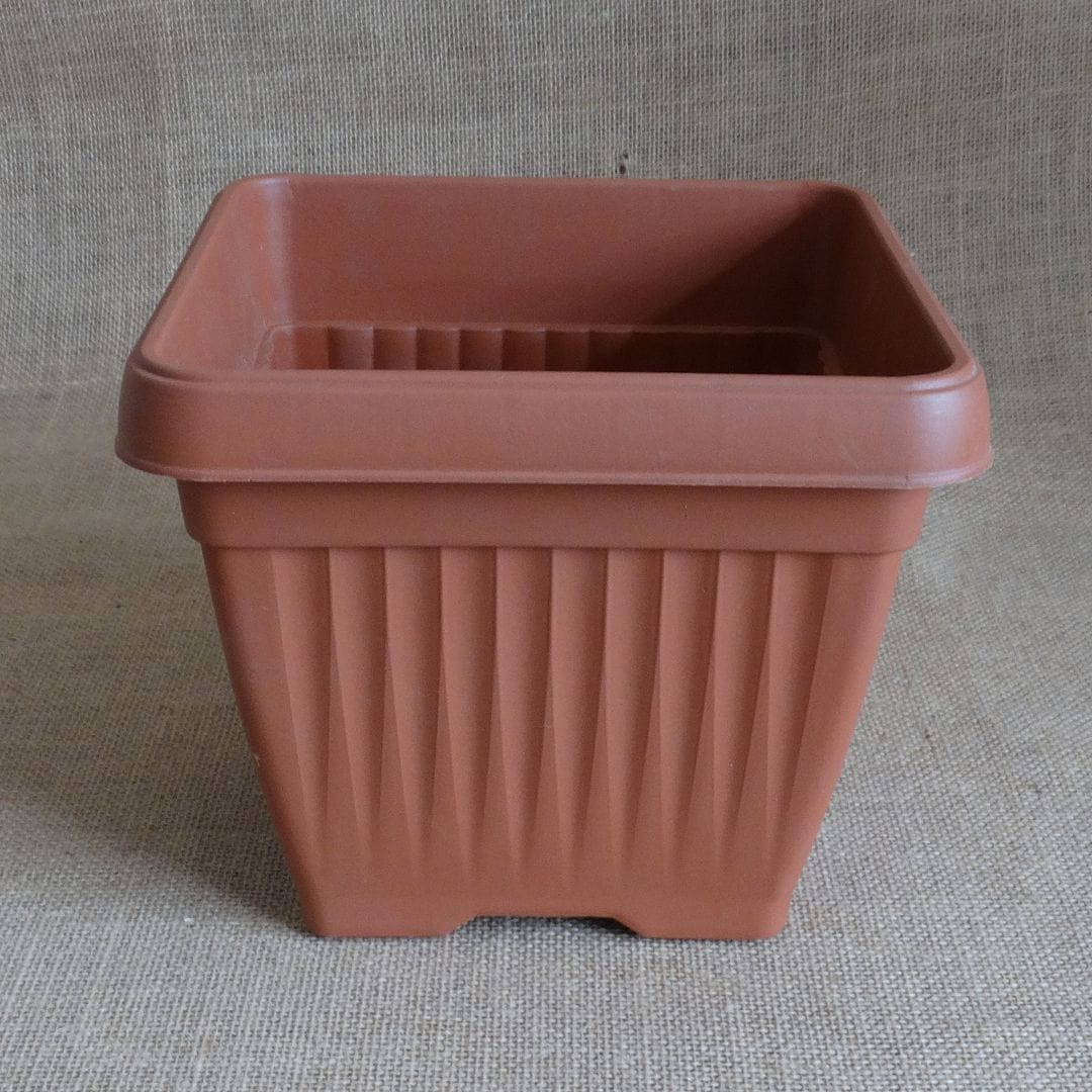 HARSHDEEP Plastic Bello Square Pot, Dia-10 inch