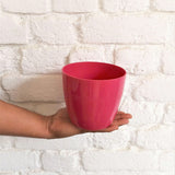 HARSHDEEP Plastic Valencia Plastic Pot, Dia- 5 Inch