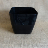 HARSHDEEP Plastic Siena Pot, Dia-5 Inch