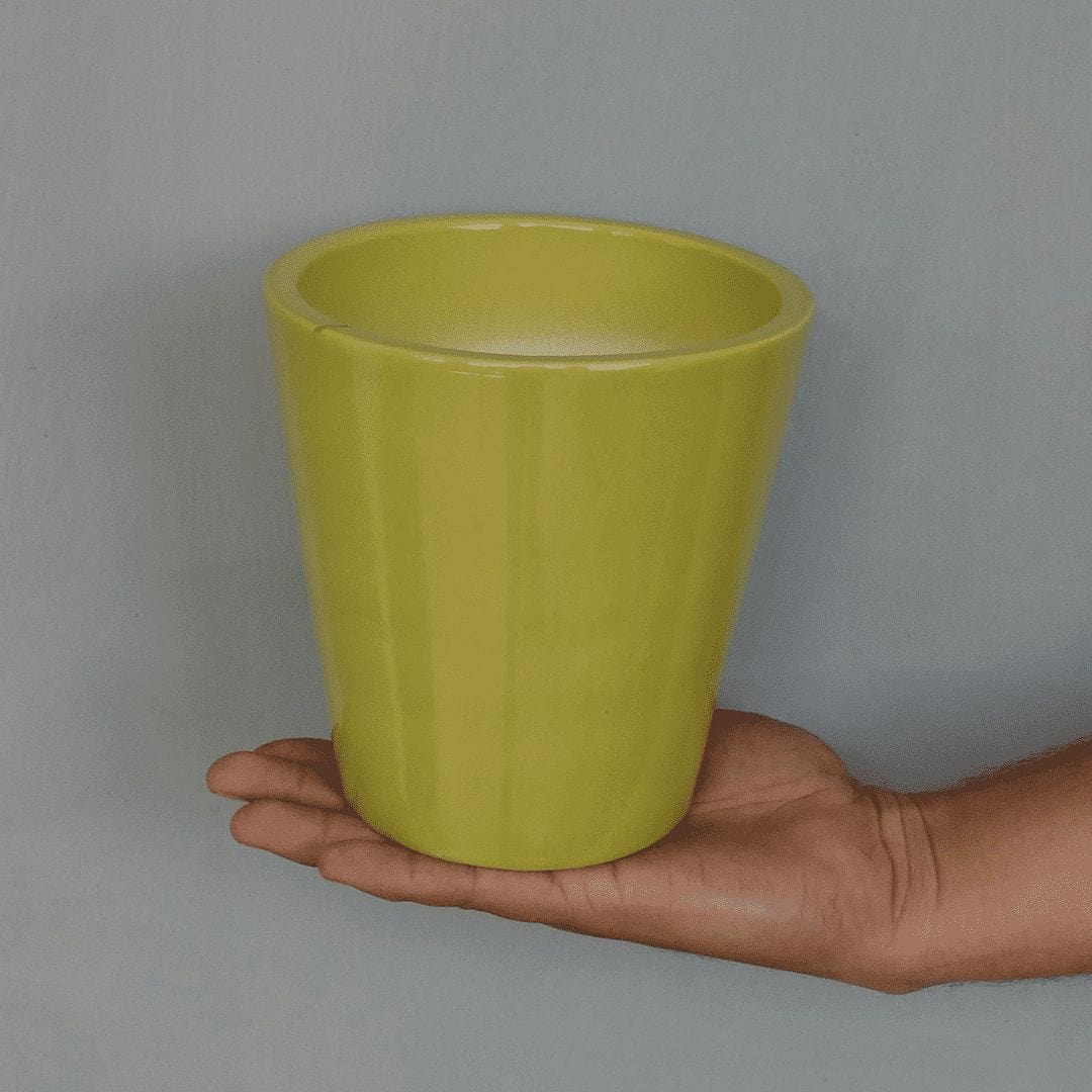 YELLOWTABLE Apollo Ceramic Flower Pot / Planter for Indoor and Outdoors, Medium, Dia: 5.7 Inch