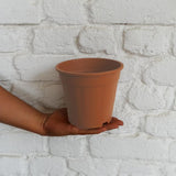 HARSHDEEP Plastic Grower Pot, Dia-6 Inch