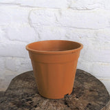 HARSHDEEP Plastic Grower Pot, Dia-6 Inch