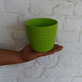ATLANTIC Plastic Oslo Pot,Dia-5 Inch
