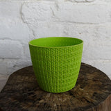 ATLANTIC Plastic Oslo Pot,Dia-5 Inch