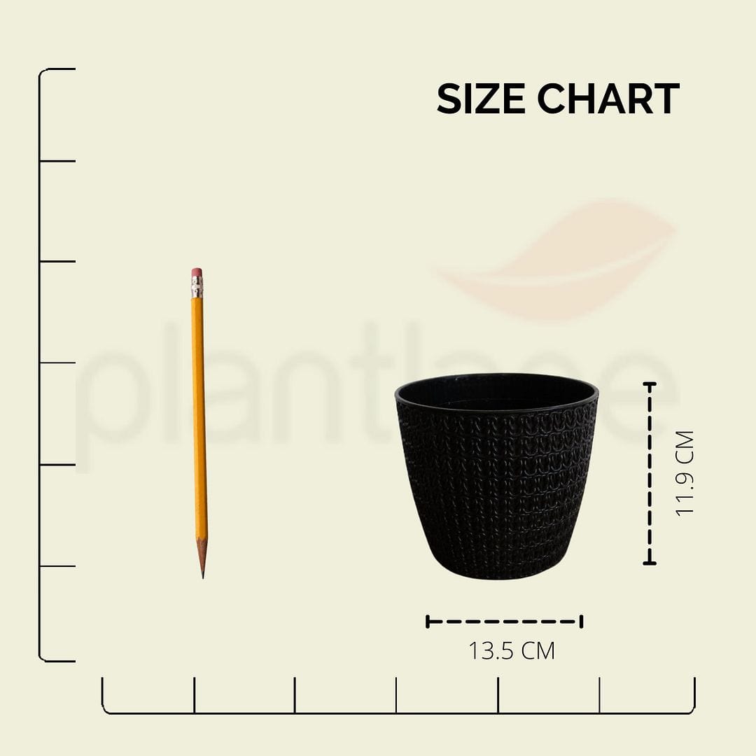 ATLANTIC Plastic Oslo Pot,Dia-5 Inch
