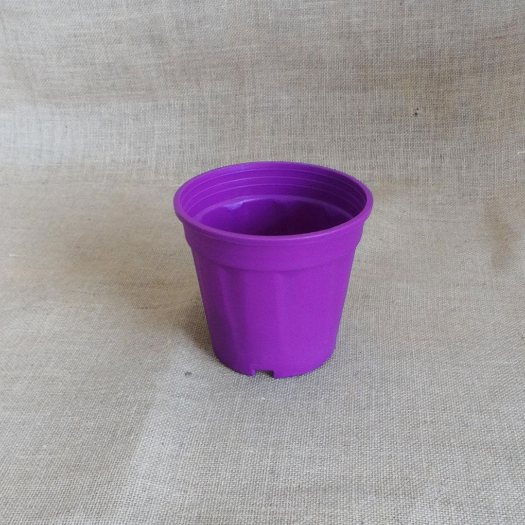 HARSHDEEP Plastic Grower Pot, Dia-6 Inch