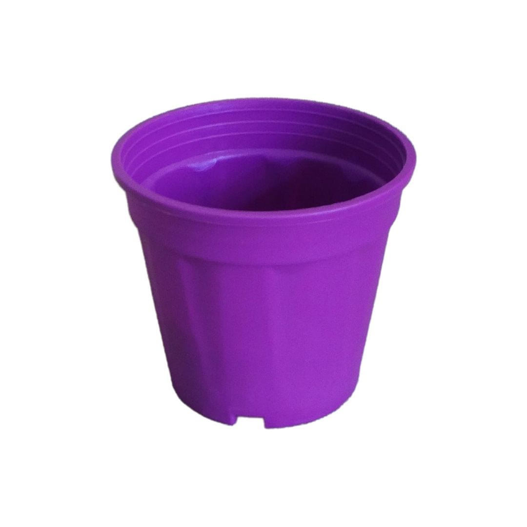 Plastic Grower Pot, Dia-6 Inch