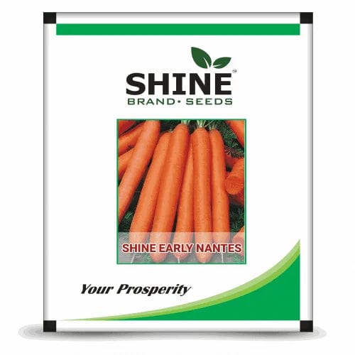 Shine Brand Seeds Early Nantes Carrot/ Gaajar Seeds