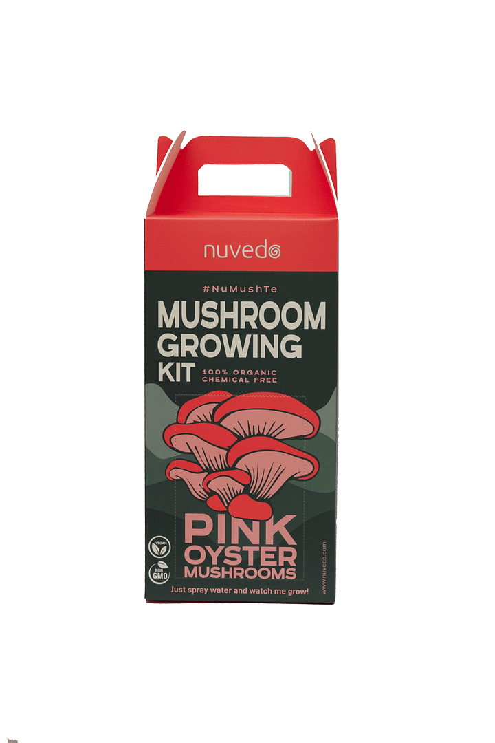 Nuvedo Pink Oyster Mushroom Growing Kit