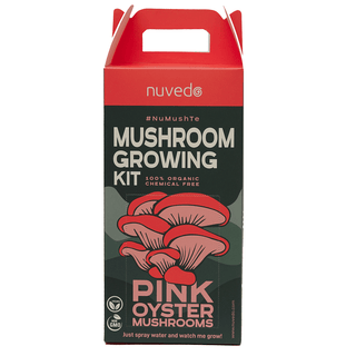 Nuvedo Pink Oyster Mushroom Growing Kit