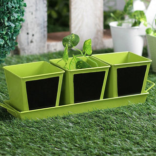Green Girgit Metal Herb Pots With Chalk Board (Set Of 3)
