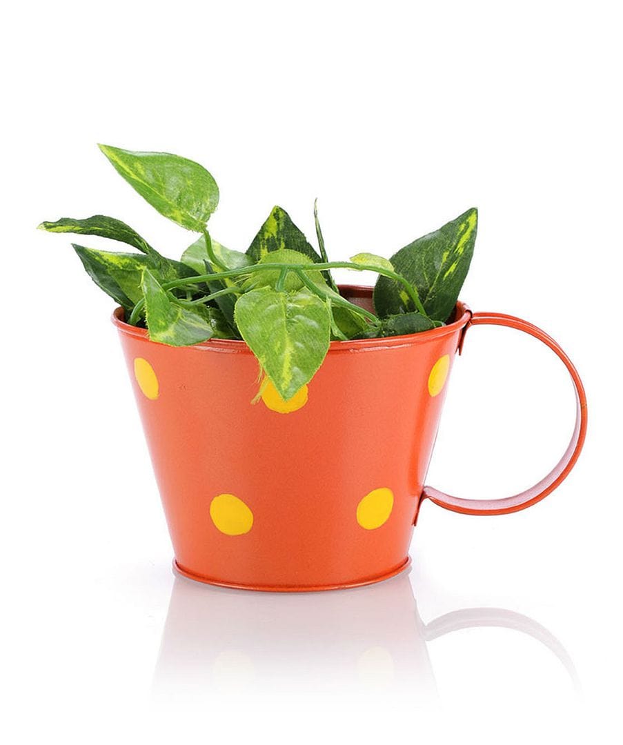 Green Girgit Polka Dot Metal Cup Planter (Small)