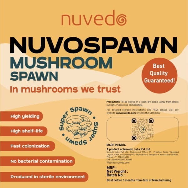 Nuvedo Pink Oyster Mushroom Spawn (1 Kg)