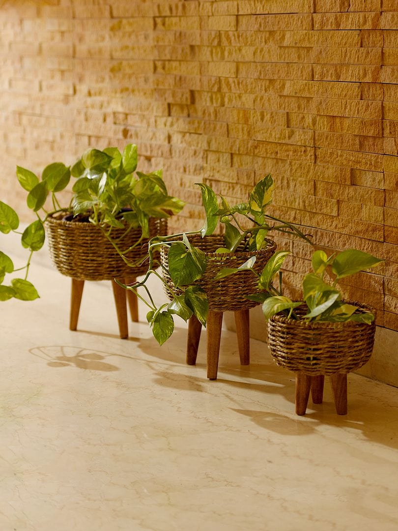 Green Girgit Jute Basket Planter (Set of 3)