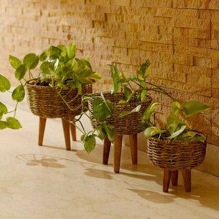 Jute Basket Planter (Set of 3)