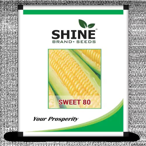 Shine Brand Seeds Sweet 80- Sweet Corn Seeds, 500gm