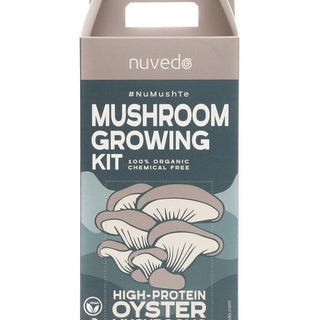 Nuvedo High-Protein Oyster Mushroom Growing Kit