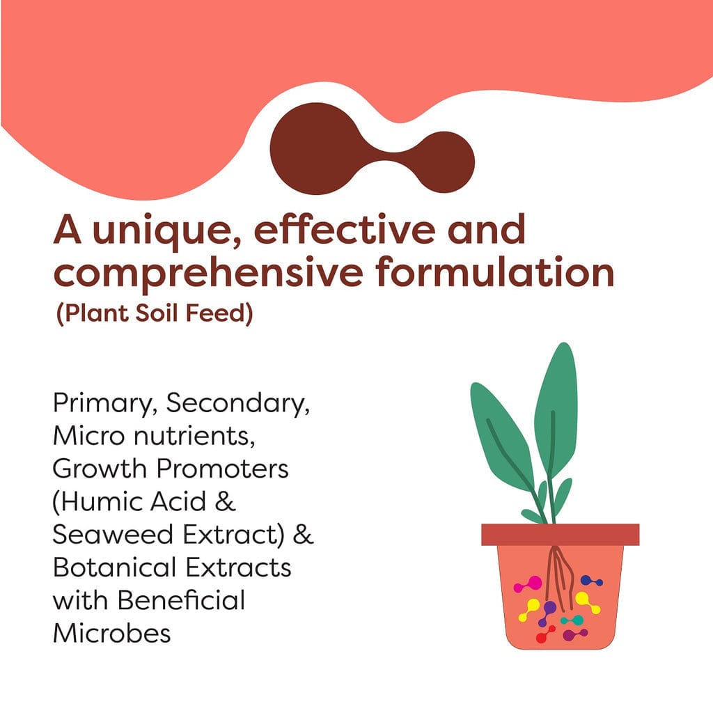 Nanopot Humic Acid & Seaweed Extract Root Food (10 x 250 gms), Smart Soil Fertilizer