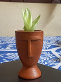 Lokabazar Big Face Terracotta Planter