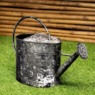 Watering Can (Large)