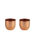 Amaya Decors Table Top Planter with Copper Plating (Set of 2)