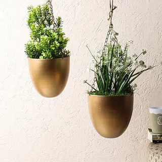 Capsule Shape Hanging Planters (Set of 2)