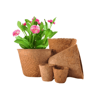 Coir Pots (Pack of 6)