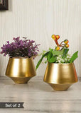 Amaya Decors Wine Glass Shape Planter (Golden) - Set of 2