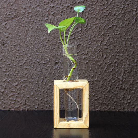 VAH- Kya Bat Hai !! Glass Test Tube Flower Vase with Wood Stand