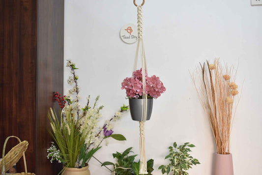Thread Story Nanta Macrame Cotton Plant Hanger