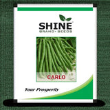 Shaine Brand Seeds Pole Beans- Carlo Seeds