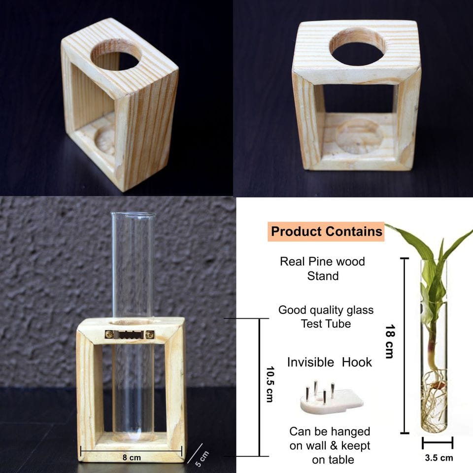 Glass Test Tube Flower Vase with Wood Stand