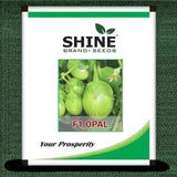 Shine Brand Seeds F1 0pal Brinjal/ Began Seeds (10 Grams)
